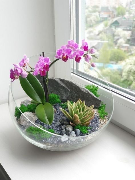 amazing  diy ideas Succulent Arrangements Indoor, Orchid Terrarium, Orchid Plant Care, Orchid Flower Arrangements, Diy Succulent Terrarium, Succulent Garden Indoor, Succulent Garden Design, Succulent Garden Diy, Succulent Gardening