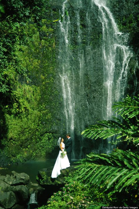 Small Wedding In Hawaii, Waimea Falls Wedding, Wedding Hawaii, Wedding In Hawaii, Hawaii Wedding Destinations, Hawaiian Micro Wedding, Eloping In Hawaii, Hawaii Waterfalls, Small Hawaii Wedding Oahu