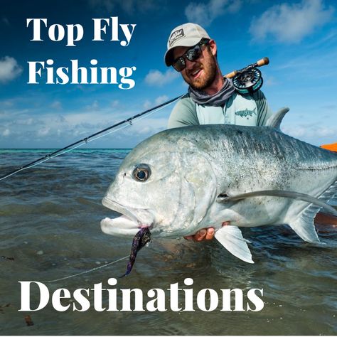 These are the absolute BEST fly fishing destinations EVER! You'll want to put them at the very top of your fly fishing bucket list! #flyfishing #bucketlist #topflyfishing Fishing Knowledge, Fishing Christmas, Fishing Photography, Saltwater Flies, Salmon Fish, River Fishing, Fishing Guide, Fishing Charters, Freshwater Fishing