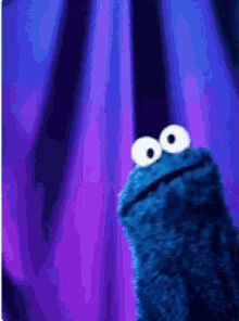 Cookie Monster Gif, Cookie Monster, Monster Cookies, Sesame Street, Television Show, Reaction Pictures, Puppets, Animated Gif, Cool Gifs