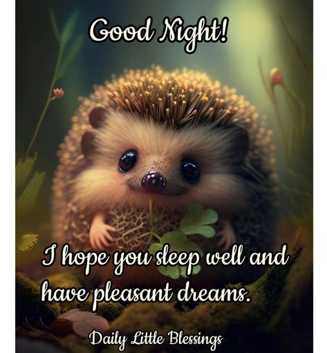 I hope you sleep well and have pleasant dreams...Good Night quotes good night good night wishes good night quotes and sayings best good night images daily good night messages best good night wishes good night quotes 2024 Sleep Well Quotes Good Night, Sleep Well Quotes, Best Good Night Wishes, Sleep Better Quotes, Best Good Night Images, Well Quotes, Quotes Good Night, Best Good Night, Pleasant Dreams