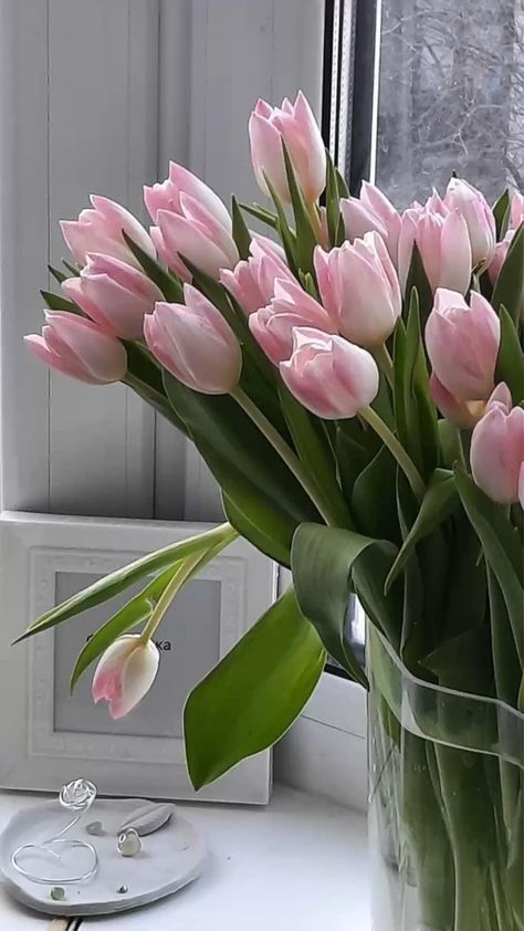 Pink Tulips Aesthetic, Boquette Flowers, Nothing But Flowers, Flower Therapy, Luxury Flowers, Pink Tulips, Tulips Flowers, Flowers Nature, Love Flowers