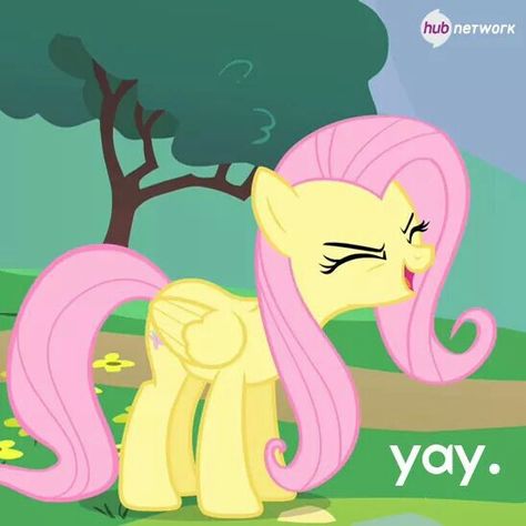 My Little Pony on the hub network Fluttershy Yay, Mlp Memes, Sweetie Belle, Grey Christmas, Pet Bunny, Mlp Pony, Happy Wife, Mlp My Little Pony, Fluttershy