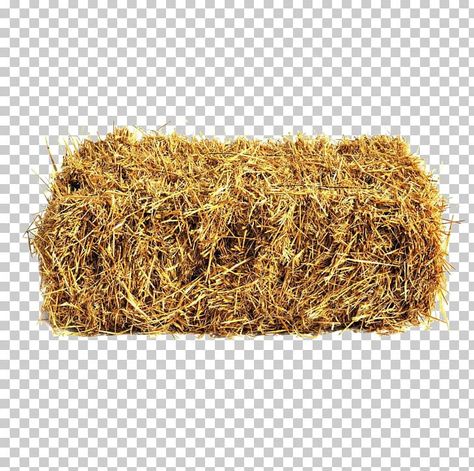 Hay Bale Art, Doll Backgrounds, Bus Skin Design, Cowboy Theme Party, People Cutout, Easter Cards Handmade, Straw Bale, Straw Bales, Cartoon House