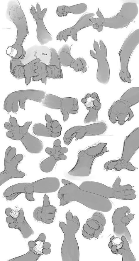 Hand Studies, Hand Tutorial, Paw Drawing, Cat Drawing Tutorial, Hand Drawing Reference, Cartoon Sketches, 캐릭터 드로잉, Cat Eyes, Warrior Cat