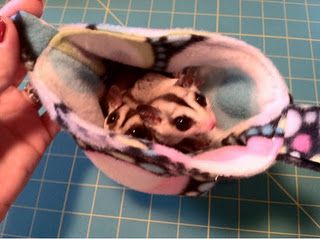 DIY - Sugar Glider Pouch Tutorial  Made this for my gliders, Easy, Fast, Fun! Pouches Diy, Sugar Glider Pouch, Teacher Diy, Sugar Glider Cage, Classroom Pets, Sugar Glider Toys, Pet Rat, Sugar Bears, Pouch Diy