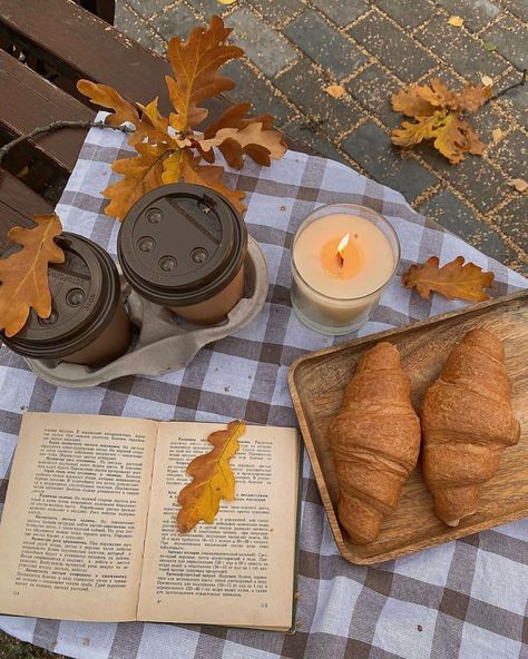 Pinterest Girly, Fall Picnic, Fall Mood Board, Pumpkin Spice Season, Autumn Days, Fall Inspo, Fall Feels, Fall Pictures, Fall Aesthetic