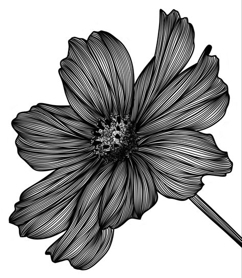 Line art Line Drawings Of Flowers, Line Work Art, Line Art Doodles, Flower Lines, Line Flowers, Fine Line Art, Fineliner Art, Line Art Flowers, Botanical Line Drawing