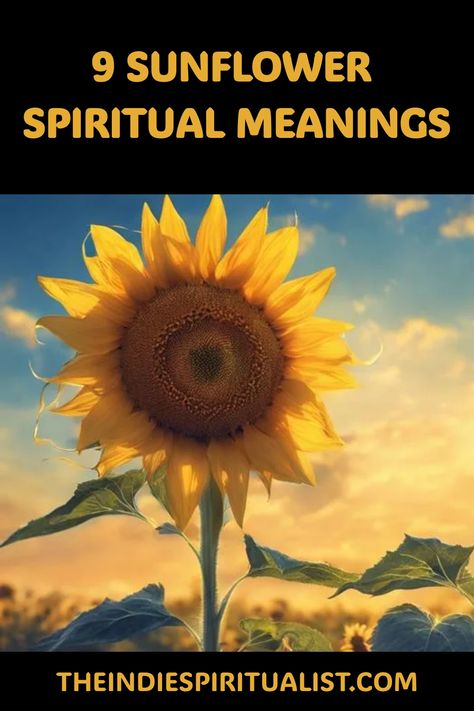 Unlock the 9 spiritual secrets of sunflowers, and discover how their radiant energy can guide your path to enlightenment and joy. Sunflower Devotional, Sunflower Meaning Spiritual, Sunflower Symbolism, Sunflower Facts, Spiritual Secrets, Meaning Of Sunflower, Path To Enlightenment, Sunflower Quotes, Color Symbolism