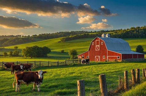 Farm Images - Free Download on Freepik Cow In A Field, Sunrise Farm Photography, Farm Aerial View, Farm Images, Cows Grazing Fields, Red Barn Photos, Farm Scene, Red Barn, Lush Green