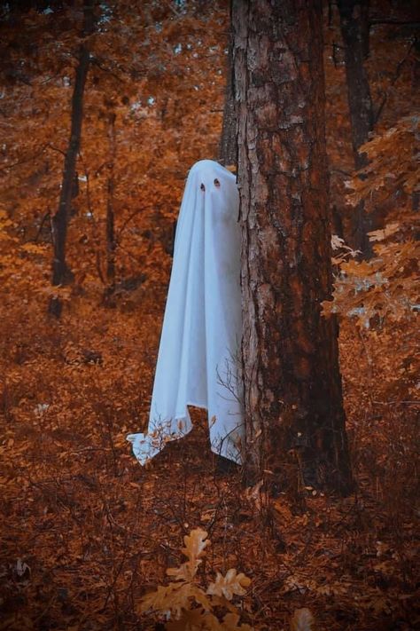 Tiktok Ghost Photoshoot Trend by @MelissaRoller Ghost Photoshoot, Fall Ghost, Netflix Horror, Horror Series, Pet Halloween Costumes, New Netflix, Halloween Costumes, Ghost, Halloween