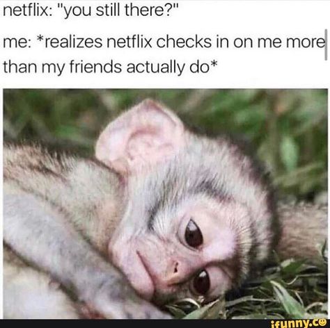 netflix: "you still there?" me: *realizes netflix checks in on me more than my friends actually do* – popular memes on the site iFunny.co #netflix #internet #still #netflix #checks #more #friends #actually #pic School Memes, Funny Animal Jokes, Crazy Funny Memes, Memes Humor, Baby Monkey, Funny Animal Memes, Animal Jokes, E Card, Really Funny Memes