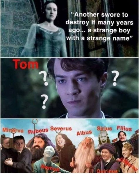 Slytherin Funny, Citate Harry Potter, Harry Potter Parody, Glume Harry Potter, Funny Harry Potter Jokes, Severus Rogue, Harry Potter Feels, Harry Potter Puns, Harry Potter Images