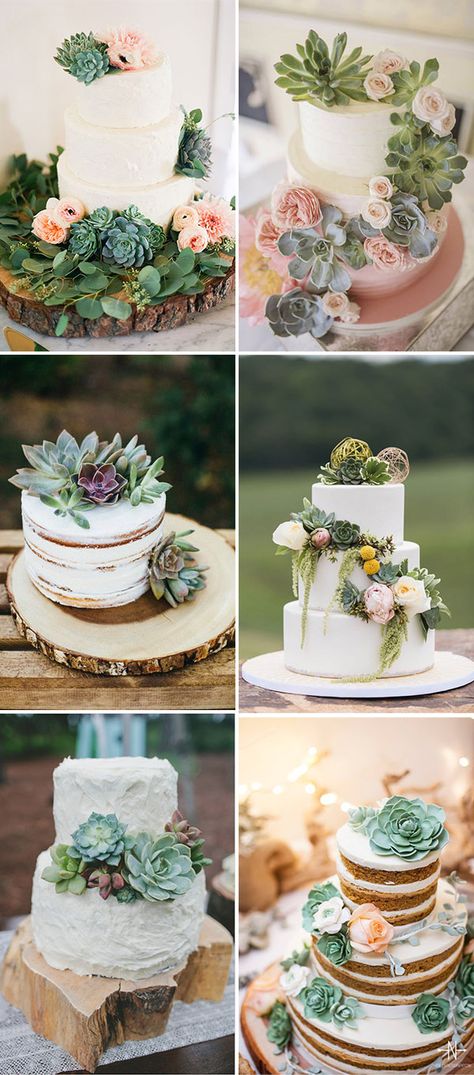 gorgeous succulent wedding cakes ideas Wedding Table Toppers, Succulent Wedding Cakes, Vintage Pasta, Cakes Decorated, Succulent Cake, Cactus Cake, Boda Mexicana, Wedding Cake Rustic, Succulent Wedding