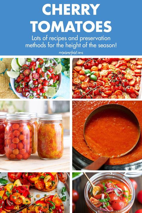 Freezing Cherry Tomatoes, Fresh Veggie Recipes, Recipe Using Tomatoes, Warm Weather Recipes, Tomato Salsa Recipe, Cherry Tomato Recipes, Fresh Tomato Recipes, Roasted Tomato Soup, Tomato Season