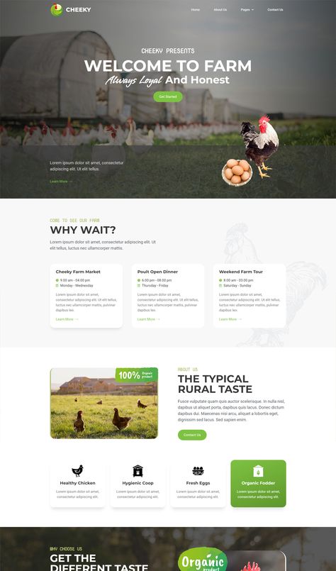 Poultry Farm Elementor Template Kit Farm Website Design, Bird Branding, Farm Websites, Innovation Illustration, Outline Typography, Meat Branding, Organic Illustration, Farm Website, Website Branding Design