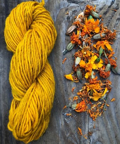 Dyeing With Marigolds, Natural Dye Wool Yarn, Marigold Dye Natural, Marigold Dye, Dried Marigold, Dye Garden, Fabric Dyeing Techniques, Dyeing Yarn, Yellow Yarn