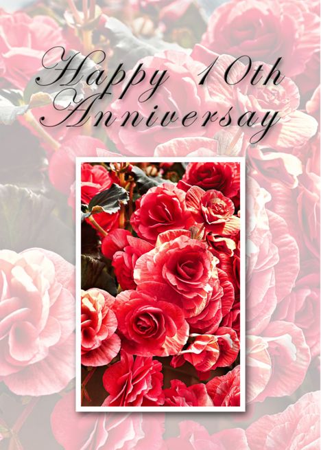 Happy 10th Anniversary, Pink Flowers card #Ad , #affiliate, #Anniversary, #Happy, #card, #Flowers Happy 45th Anniversary, Anniversary Template, Happy 35th Anniversary, Happy 15th Anniversary, 30th Anniversary Parties, Happy 30th Anniversary, Happy 40th Anniversary, Happy Birthday Pink, Happy 20th Anniversary