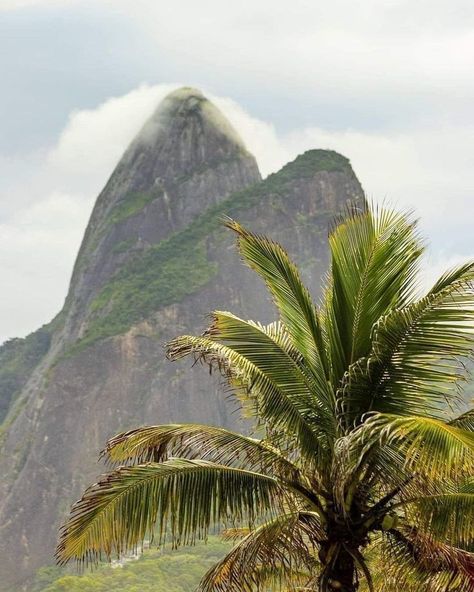 Brazil Vibes, Brazil Summer, Hawaii Mountains, Brazil Cities, Tree Mountain, Summer Tree, Mountains Aesthetic, Aesthetic Vacation, Summer Trees