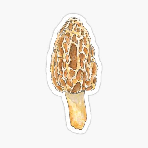 Mushroom Artwork, Mushroom Stickers, Mushroom Foraging, Funny Yoga, Morel Mushroom, Kawaii Aesthetic, Flower Field, Science Poster, Stranger Things Fanart