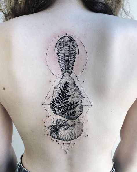 Trilobite, fossilized fern, and crystallized ammonite shell! Thanks Chloe! Trilobite Tattoo, Geology Tattoo, Pony Reinhardt, Science Tattoo, Ammonite Shell, Dinosaur Tattoos, Zodiac Tattoos, Baby Tattoos, Tattoos Gallery