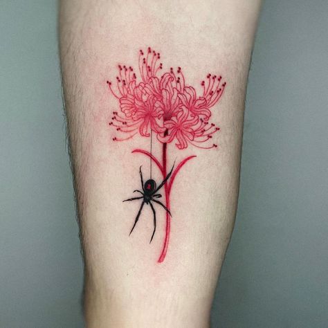 Lilly Flower Tattoo, Spider Lily Tattoo, Widow Tattoo, Black Widow Tattoo, Black Flowers Tattoo, Lillies Tattoo, Lily Tattoo Design, Red Spider Lily, Pink Tattoo