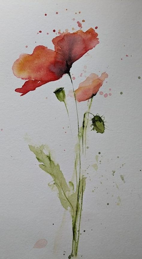 Poppy Flower Drawing, Poppy Flower Painting, Loose Watercolor Flowers, Poppy Drawing, Easy Flower Painting, Watercolor Art Journal, Watercolor Flowers Tutorial, Floral Watercolor Paintings, Watercolor Poppies