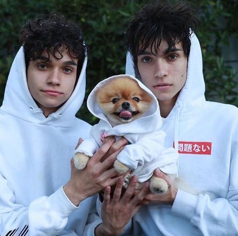 Lucas,Marcus and Jifpom ❤️❤️❤️❤️ Lucas And Marcus, The Dobre Twins, Marcus And Lucas, Lucas Dobre, Twin Car, Marcus Dobre, Spy Kit, Famous Twins, Martinez Twins