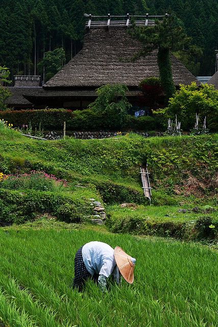 Japanese country landscape 8 Trigrams, Japan Countryside, Kimono Gallery, Country Landscape, Rice Fields, Japanese Gardens, Country Landscaping, Japanese Architecture, Japanese Garden