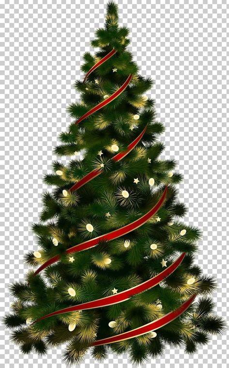 Christmas Tree Design Graphic, Christmas Png Designs, Pohon Natal Aesthetic, Christmas Tree Animated, Aesthetic Wallpaper Macbook, Notebook Clipart, Travel Aesthetic Wallpaper, Crismas Tree, Clipart Aesthetic