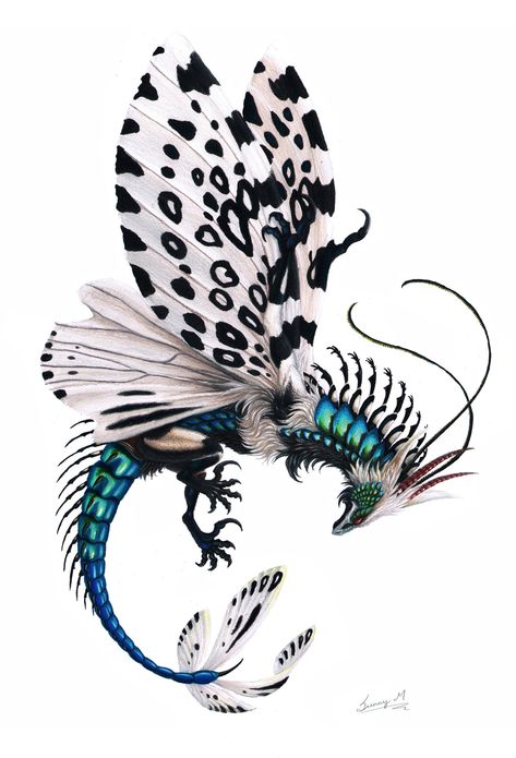 Moth Dragon, Tattoo Bottle, Giant Leopard Moth, Leopard Moth, Flying Animals, Butterfly Dragon, Awesome Tattoo, Fairy Dragon, Mythical Animal