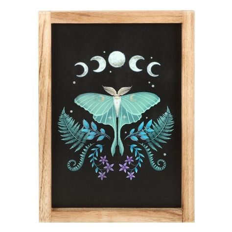 I just added a new item to eBay, Luna Moth Wooden Framed Wall Art! #eBay #eBaySeller Luna Moth Design, Moth Artwork, Gothic Homeware, Moth Art Print, Moth Design, Moth Print, Moth Art, Luna Moth, Dark Forest