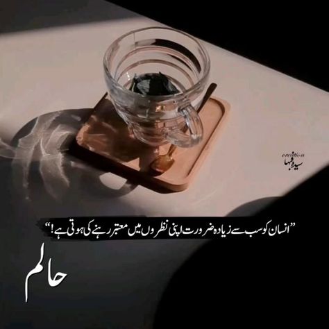 Nemrah Ahmed Quotes, Haalim Novel Quotes, Jkp Quotes, Halim Novel, Urdu Novels Quotes, Eid Jokes, Good Novels To Read, Album Cover Wallpaper Collage, Novelist Quotes