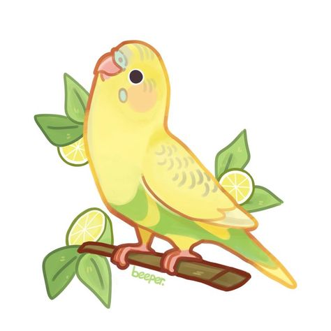 Cute Parakeet, Support Drawing, Parrot Cute, Parrot Wallpaper, Lime Fruit, Parrot Drawing, Kawaii Cat Drawing, Budgies Bird, Parrots Art