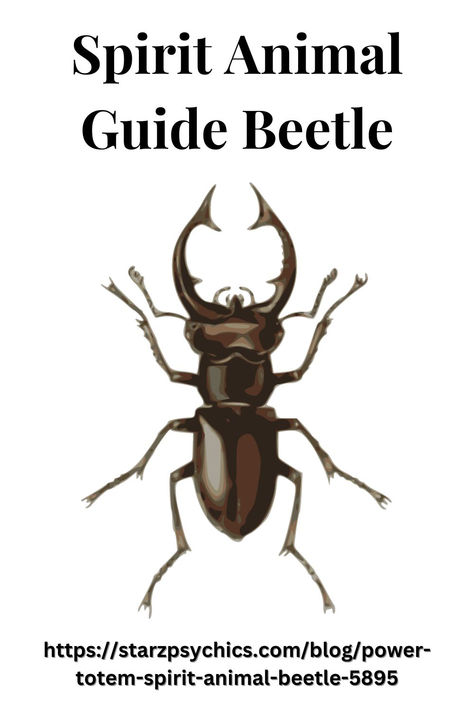 power animal spirit guide the beetle Hercules Beetle, Tarot Numerology, Animal Spirit Guides, Animal Guides, Power Animal, The Beetle, Astrology Tarot, Psychic Powers, Spirit Guide