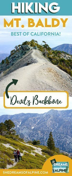 Your Ultimate Guide to Hiking Mount Baldy | If you are based out of the Southern California area, then hiking Mount Baldy is one of the best hikes in California to do. Not only is it a great training hike for California’s bigger 14er mountains, it can also be hiked in a fun but challenging 11 mile loop. You’ll traverse it’s well-known Devil’s Backbone trail and summit the highest peak in Los Angeles County. A must-do hike for all Californians! | shedreamsofalpine.com Backpacking California, Hikes In California, Mount Baldy, California Hiking, Hiking Places, Usa Destinations, California Hikes, Camping Inspiration, Hiking Trips