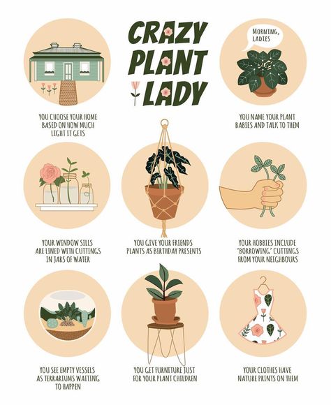 Ash White on Instagram: “Woohoo! Crazy Plant Lady 💛 tag someone you know who is one of these or comment yourself if it’s you!! 🍃 Will be getting this printed for…” Crazy Plant Lady, Plant Cuttings, Plant Lady, Tag Someone, White Art, Flower Power, The Borrowers, Plant Based, Ash