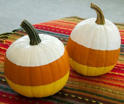 Pumpkin Painting Ideas For Work, Painted Punkins Ideas Easy, Painting Pumpkins Designs, Painting Small Pumpkin Ideas, Pumpkin Decorating Ideas Easy, Fall Painted Pumpkins Ideas, Painted Pumpkins Decor, White Pumpkin Painting Ideas Easy, Painting Pumkin Ideas Diy