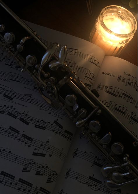 Clarinet Aesthetic Vintage, Bass Clarinet Aesthetic, Lark Montague, Dark Coastal Aesthetic, Music Therapy Aesthetic, Oboe Aesthetic, Classical Musician Aesthetic, Music Teacher Aesthetic, Clarinet Pictures