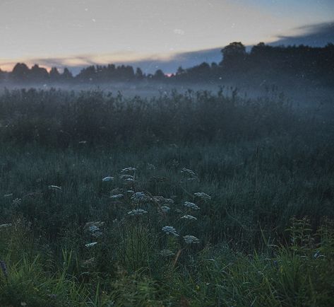 Night Grass Field, Dusk Landscape, Misty Dawn, Romantic Nature, Landscape Photography Nature, The Meadows, English Countryside, Nature Aesthetic, Landscape Photos