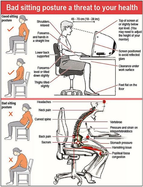 bad sitting posture at the office How To Sit Properly, Desk Posture, Proper Sitting Posture, Posture Improvement, Posture Fix, Back Posture Corrector, Correct Posture, Safety Posters, Spine Health