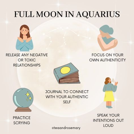 August Full Moon, Full Moon In Aquarius, Relationship Journal, Sturgeon Moon, Appreciate Everything, Moon In Aquarius, New Moon Rituals, Leo Season, We Are All Connected