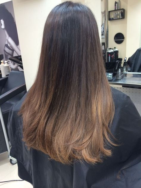 Brown Balayage Highlights On Black Hair, Caramel Ends On Dark Hair, Natural Brown Ombre Hair, Natural Ombre Brunette, Natural Ombre Hair Brunette, Dark Brown Hair With Lighter Ends, Lighter Ends On Brown Hair, Ombre On Light Brown Hair, Ombre Hair Brown To Caramel