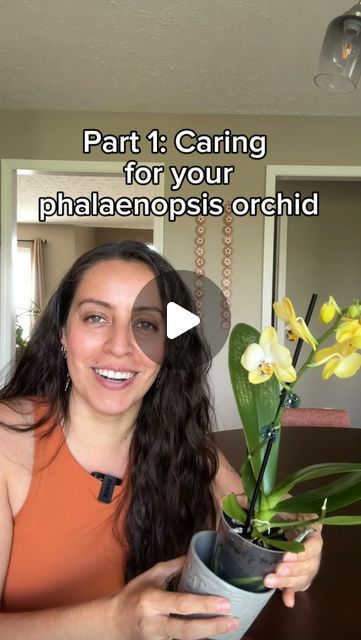 Krystal Duran on Instagram: "My mission is to keep your orchids thriving 🙌🏽  Orchid care is my number one asked about plant and care. I would say, once you get the hang of it, it’s easy, but it can feel intimidating for many.   Part one, is the intro and how to enjoy the plant when you receive. Part two will focus on maintenance after.   Stick around for part 2, consider following along for more planty tips if you haven’t already, and leave any questions down below!  #orchidcare #orchidplant #phalaenopsisorchid" How To Take Care Of Orchids, How To Repot Orchids, How To Care For Orchids Indoors, How To Care For Orchids, Orchid Repotting, Phalaenopsis Orchid Care, Repotting Orchids, Hanging Orchid, Indoor Orchids