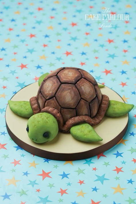 Turtle Cake Ideas, Tortoise Cake, Celebration Cakes Birthday, Sea Turtle Cake, Turtle Cakes, Turtle Birthday Cake, Reptile Party, Turtle Theme, Turtle Cake