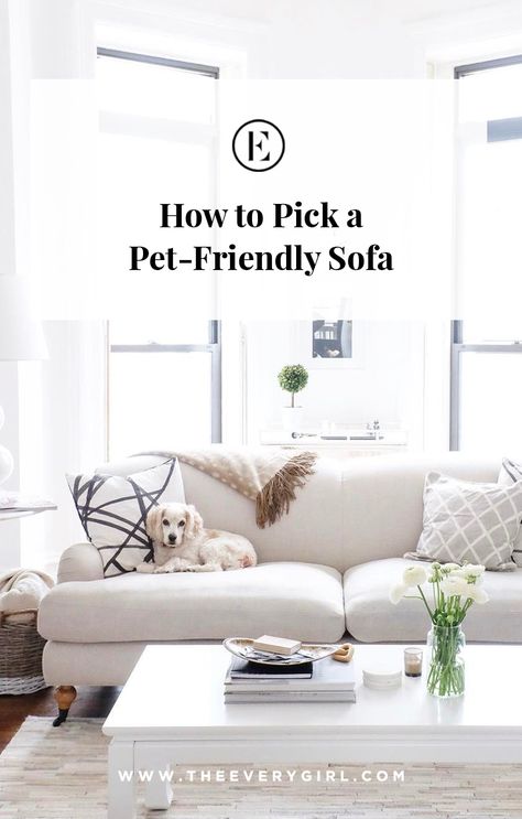 The Best Pet-Friendly Sofas | The Everygirl Pet Friendly Living Room, Dog Friendly Furniture, Couch Material, Pet Friendly Furniture, Trendy Sofas, Sofa Design Ideas, Grey Sofas, Couches Living, Dog Couch