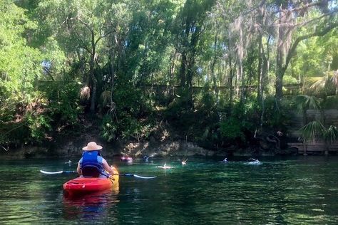 Sanford Florida, Rock Springs, Picnic Style, Kayak Tours, Kayak Trip, Black Water, Florida Travel, Central Florida, Day Trip