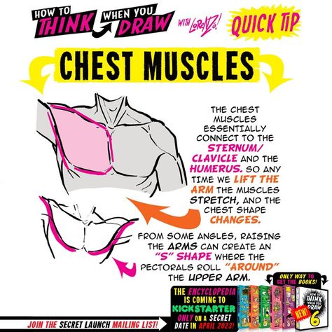 EtheringtonBrothers Anatomy Tutorial, How To Think, Body Drawing Tutorial, Human Anatomy Drawing, Chest Muscles, Body Reference Drawing, Anatomy Study, Art Tools Drawing, Learn Art