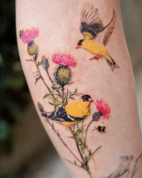 VISM STUDIO | American goldfinches with a field thistle plant💛🐤🌸 @abii_tattoo Done at @vismstudio LA 🇺🇸 #birdtattoo #americangoldfinch… | Instagram American Goldfinch Tattoo, American Goldfinch, Goldfinch Tattoo, Finch Tattoo, Thistle Plant, Thistle Tattoo, Los Angeles Tattoo, La Tattoo, Birthday Tattoo