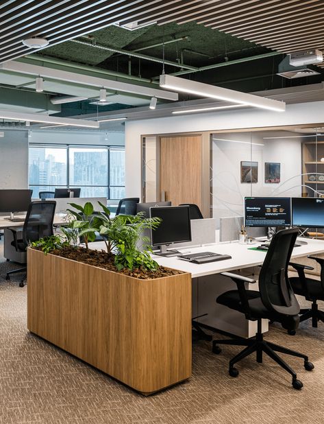 Citrosuco – Perkins&Will Corporate Office Inspiration, Office Greenery, Plant Ceiling, Biophilic Office, Workstation Design, Workstations Design, Office Fit Out, Australian Interior Design, Interior Design Awards